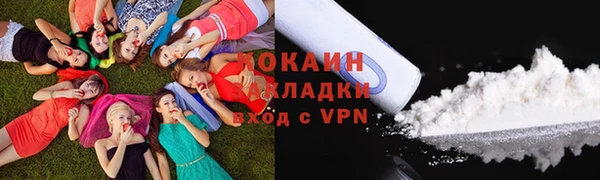 каннабис Новозыбков