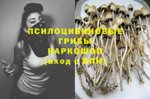 прущие крисы Новокубанск