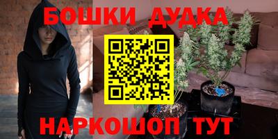 сатива Абакан