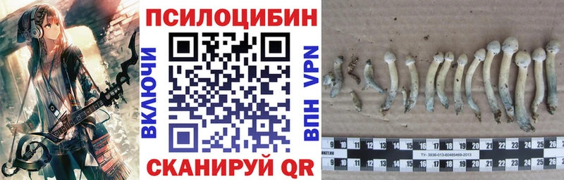 купить наркотик  Карпинск  Псилоцибиновые грибы ЛСД 