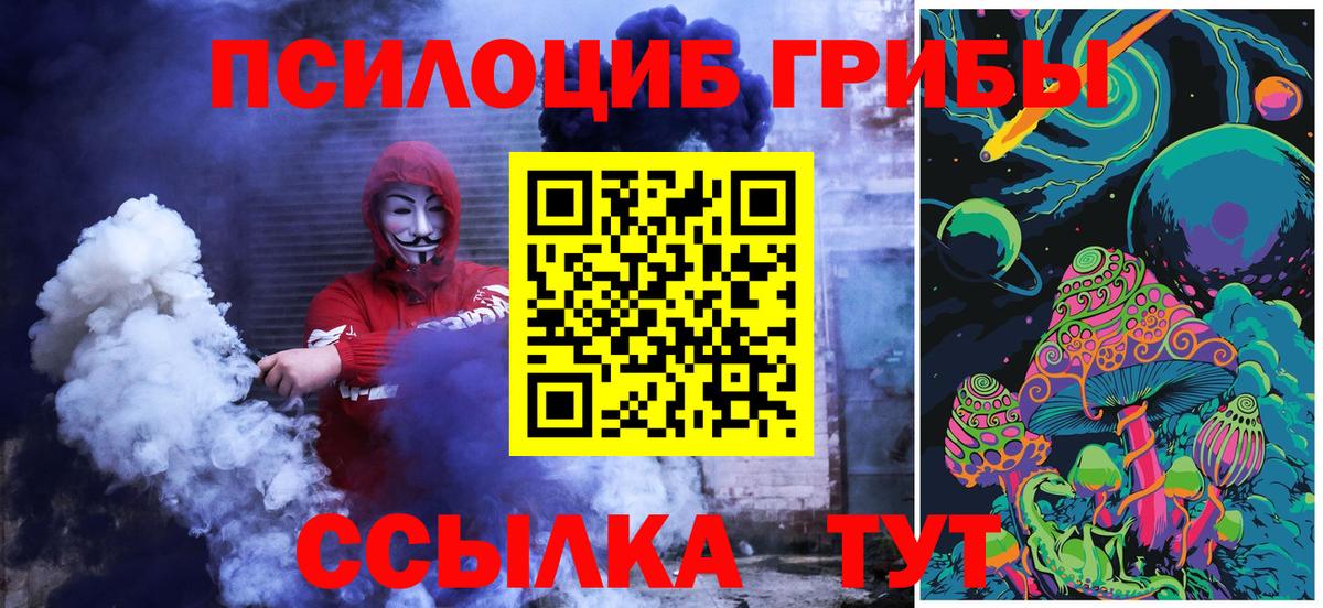 Псилоцибиновые грибы Psilocybine cubensis Карпинск