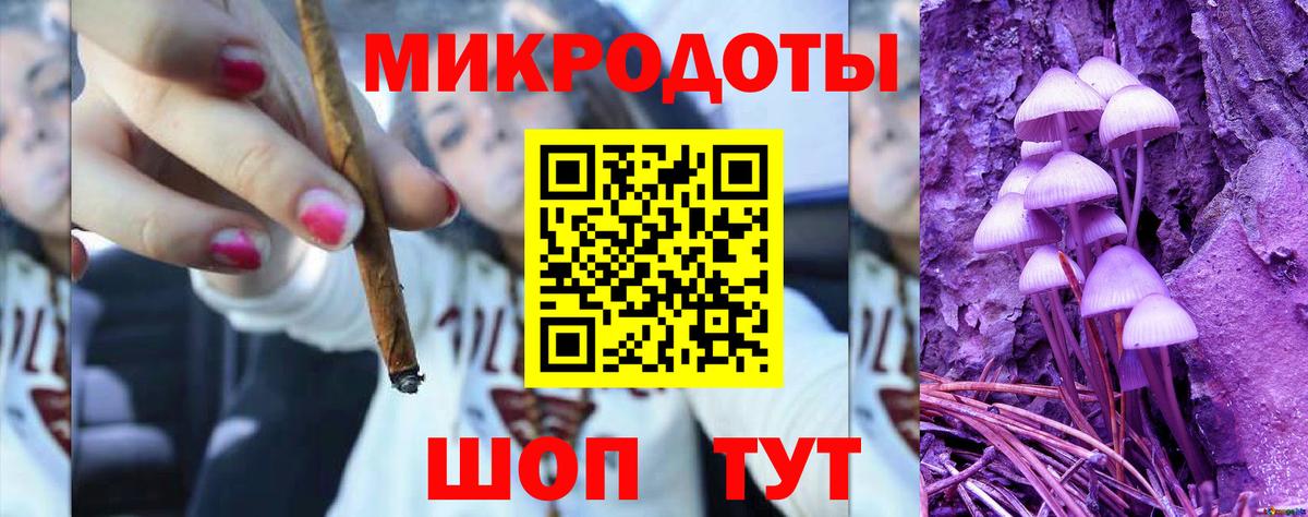 Галлюциногенные грибы Psilocybine cubensis Карпинск